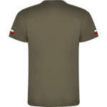 CA6550 C15 tył flagi